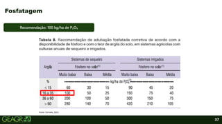 37
Fosfatagem
Fonte: Cerrado, 2021.
Recomendação: 100 kg/ha de P₂O₅
 