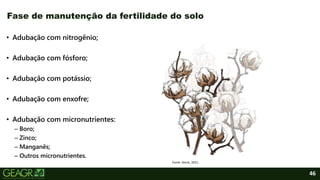 46
• Adubação com nitrogênio;
• Adubação com fósforo;
• Adubação com potássio;
• Adubação com enxofre;
• Adubação com micronutrientes:
– Boro;
– Zinco;
– Manganês;
– Outros micronutrientes.
Fase de manutenção da fertilidade do solo
Fonte: iStock, 2021.
 