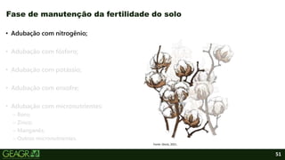 51
• Adubação com nitrogênio;
• Adubação com fósforo;
• Adubação com potássio;
• Adubação com enxofre;
• Adubação com micronutrientes:
– Boro;
– Zinco;
– Manganês;
– Outros micronutrientes.
Fase de manutenção da fertilidade do solo
Fonte: iStock, 2021.
 