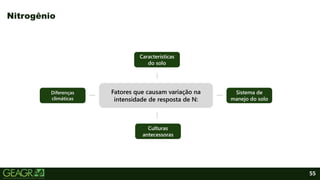 55
Nitrogênio
Sistema de
manejo do solo
Culturas
antecessoras
Características
do solo
Diferenças
climáticas
Fatores que causam variação na
intensidade de resposta de N:
 