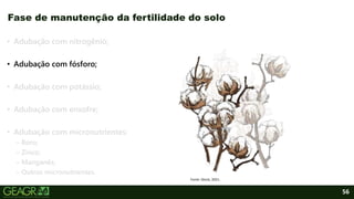 56
• Adubação com nitrogênio;
• Adubação com fósforo;
• Adubação com potássio;
• Adubação com enxofre;
• Adubação com micronutrientes:
– Boro;
– Zinco;
– Manganês;
– Outros micronutrientes.
Fase de manutenção da fertilidade do solo
Fonte: iStock, 2021.
 