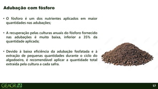 57
• O fósforo é um dos nutrientes aplicados em maior
quantidades nas adubações;
• A recuperação pelas culturas anuais do fósforo fornecido
nas adubações é muito baixa, inferior a 35% da
quantidade aplicada;
• Devido à baixa eficiência da adubação fosfatada e à
extração de pequenas quantidades durante o ciclo do
algodoeiro, é recomendável aplicar a quantidade total
extraída pela cultura a cada safra.
Adubação com fósforo
 