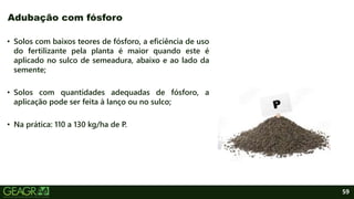 59
• Solos com baixos teores de fósforo, a eficiência de uso
do fertilizante pela planta é maior quando este é
aplicado no sulco de semeadura, abaixo e ao lado da
semente;
• Solos com quantidades adequadas de fósforo, a
aplicação pode ser feita à lanço ou no sulco;
• Na prática: 110 a 130 kg/ha de P.
Adubação com fósforo
 