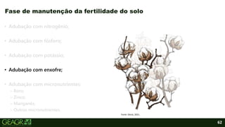 62
• Adubação com nitrogênio;
• Adubação com fósforo;
• Adubação com potássio;
• Adubação com enxofre;
• Adubação com micronutrientes:
– Boro;
– Zinco;
– Manganês;
– Outros micronutrientes.
Fase de manutenção da fertilidade do solo
Fonte: iStock, 2021.
 