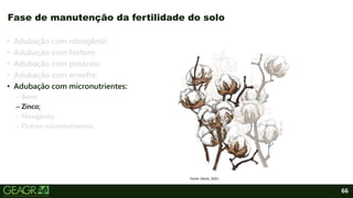 66
• Adubação com nitrogênio;
• Adubação com fósforo;
• Adubação com potássio;
• Adubação com enxofre;
• Adubação com micronutrientes:
– Boro;
– Zinco;
– Manganês;
– Outros micronutrientes.
Fase de manutenção da fertilidade do solo
Fonte: iStock, 2021.
 