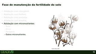70
• Adubação com nitrogênio;
• Adubação com fósforo;
• Adubação com potássio;
• Adubação com enxofre;
• Adubação com micronutrientes:
– Boro;
– Zinco;
– Manganês;
– Outros micronutrientes.
Fase de manutenção da fertilidade do solo
Fonte: iStock, 2021.
 