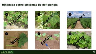 73
Dinâmica sobre sintomas de deficiência
1
6
5
2
4
3
Fonte: Cirtec134, 2021.
Fonte: Cirtec134, 2021.
Fonte: Cirtec134, 2021.
Fonte: Cirtec134, 2021.
Fonte: Cirtec134, 2021.
Fonte: Cirtec134, 2021.
 