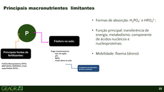 10
• Formas de absorção: H2PO4
- e HPO4
2-;
• Função principal: transferência de
energia, metabolismo; componente
de ácidos nucleicos e
nucleoproteínas;
• Mobilidade: floema (dreno).
Principais macronutrientes limitantes
P
Principais fontes de
fertilizantes:
Fosfato Monopotássico (51%),
MAP (60%), DAP(50%), Ureia
superfosfato (43%)...
Fósforo no solo:
Exige monitoramento:
- teor de argila;
- pH;
- MOS;
- niveis deste no solo.
Complexos de hidróxidos
de ferro e aluminio
 