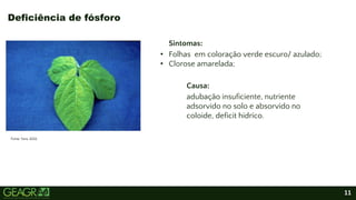 11
Fonte: Yara, 2022.
Sintomas:
• Folhas em coloração verde escuro/ azulado;
• Clorose amarelada;
Causa:
adubação insuficiente, nutriente
adsorvido no solo e absorvido no
coloide, deficit hidríco.
Deficiência de fósforo
 