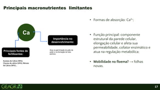17
• Formas de absorção: Ca2+;
• Função principal: componente
estrutural da parede celular,
elongação celular e afeta sua
permeabilidade, cofator enzimático e
atua na regulação metabólica;
• Mobilidade no floema? → folhas
novas.
Principais macronutrientes limitantes
Ca
Principais fontes de
fertilizantes:
Acetato de Cálcio (18%),
Cloreto de cálcio (24%), Nitrato
de Cálcio (16%)...
Importância no
desenvolvimento:
Atua na germinação do grão de
polén e na formação do tubo
polínico;
 