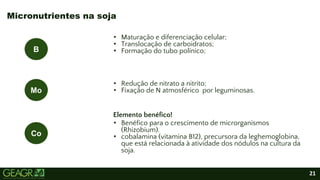 21
• Maturação e diferenciação celular;
• Translocação de carboidratos;
• Formação do tubo polínico;
• Redução de nitrato a nitrito;
• Fixação de N atmosférico por leguminosas.
Elemento benéfico!
• Benéfico para o crescimento de microrganismos
(Rhizobium).
• cobalamina (vitamina B12), precursora da leghemoglobina,
que está relacionada à atividade dos nódulos na cultura da
soja.
Micronutrientes na soja
B
Mo
Co
 