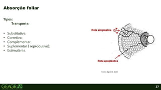 27
Tipos:
Transporte:
• Substitutiva;
• Corretiva;
• Complementar;
• Suplementar ( reprodutivo);
• Estimulante.
Absorção foliar
Fonte: Agrolink, 2022.
 