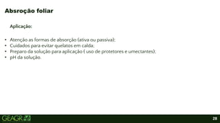 28
Aplicação:
• Atenção as formas de absorção (ativa ou passiva);
• Cuidados para evitar quelatos em calda;
• Preparo da solução para aplicação ( uso de protetores e umectantes);
• pH da solução.
Absroção foliar
 