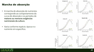 29
• A marcha de absorção de nutrientes
corresponde ao comportamento da
curva de absorção e os períodos de
maiores ou menores exigências
nutricionais da cultura;
• Varia conforme espécie, época e o
nutriente em específico.
Marcha de absorção
 