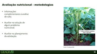 36
• Informações
complementares à análise
de solo;
• Auxiliar na solução de
algum problema
nutricional;
• Auxiliar no planejamento
da adubação.
Avaliação nutricional - metodologias
Fonte: Fundação MS
 