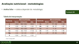 37
• Análise foliar → coleta a depender da metodologia;
Tabela de interpretação:
Avaliação nutricional - metodologias
Fundação MS
Fonte: Fundação MS
 