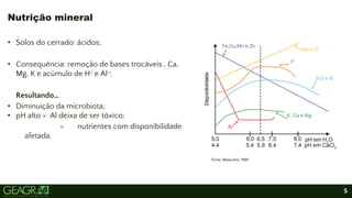 5
• Solos do cerrado: ácidos;
• Consequência: remoção de bases trocáveis , Ca,
Mg, K e acúmulo de H+ e Al+;
Resultando…
• Diminuição da microbiota;
• pH alto = Al deixa de ser tóxico;
= nutrientes com disponibilidade
afetada.
Nutrição mineral
Fonte: Malavolta, 1989.
 