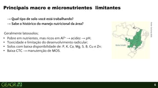 6
→ Qual tipo de solo você está trabalhando?
→ Sabe o histórico do manejo nutricional da área?
Geralmente latossolos;
• Pobre em nutrientes, mas ricos em Al3+ → acidez → pH;
• Toxicidade e limitação do desenvolvimento radicular;
• Solos com baixa disponibilidade de: P, K, Ca, Mg, S, B, Cu e Zn;
• Baixa CTC → manutenção de MOS.
Principais macro e micronutrientes limitantes
Fonte:
GoConqr,2022.
 