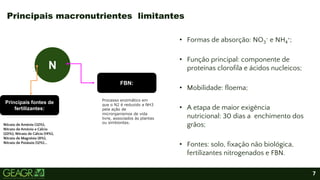 7
• Formas de absorção: NO3
- e NH4
+;
• Função principal: componente de
proteínas clorofila e ácidos nucleicos;
• Mobilidade: floema;
• A etapa de maior exigência
nutricional: 30 dias a enchimento dos
grãos;
• Fontes: solo, fixação não biológica,
fertilizantes nitrogenados e FBN.
Principais macronutrientes limitantes
N
Principais fontes de
fertilizantes:
Nitrato de Amônio (32%),
Nitrato de Amônio e Cálcio
(20%), Nitrato de Cálcio (14%),
Nitrato de Magnésio (8%),
Nitrato de Potássio (12%)...
FBN:
Processo enzimático em
que o N2 é reduzido a NH3
pela ação de
microrganismos de vida
livre, associados às plantas
ou simbiontes.
 