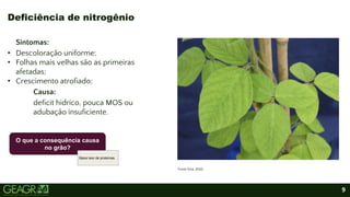 9
Deficiência de nitrogênio
Sintomas:
• Descoloração uniforme;
• Folhas mais velhas são as primeiras
afetadas;
• Crescimento atrofiado;
Causa:
deficit hidríco, pouca MOS ou
adubação insuficiente.
Fonte Yara, 2022.
O que a consequência causa
no grão?
Baixo teor de proteínas.
 