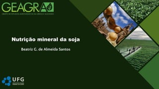 Beatriz G. de Almeida Santos
Nutrição mineral da soja
 