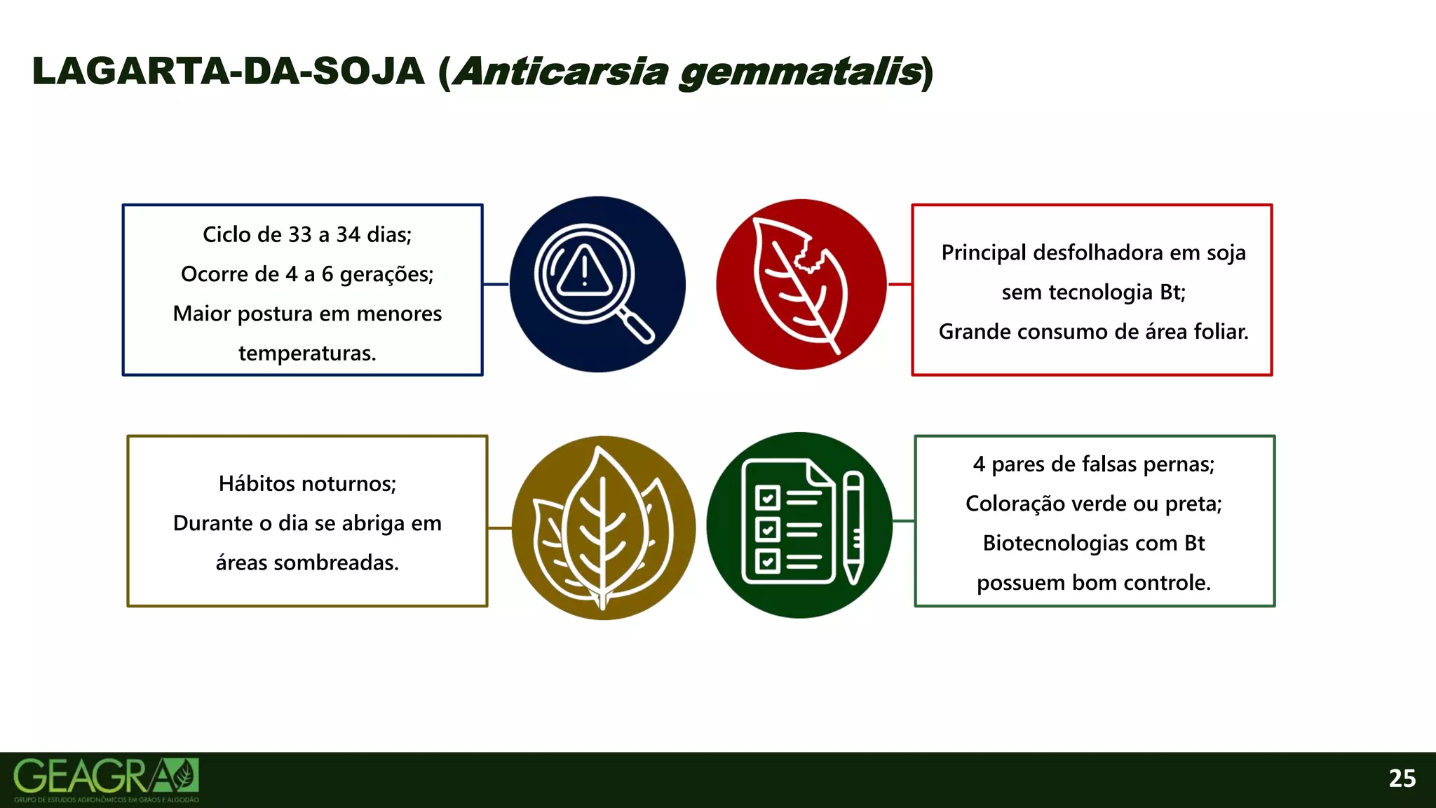 25
LAGARTA-DA-SOJA (Anticarsia gemmatalis)
Ciclo de 33 a 34 dias;
Ocorre de 4 a 6 gerações;
Maior postura em menores
temperaturas.
Hábitos noturnos;
Durante o dia se abriga em
áreas sombreadas.
4 pares de falsas pernas;
Coloração verde ou preta;
Biotecnologias com Bt
possuem bom controle.
Principal desfolhadora em soja
sem tecnologia Bt;
Grande consumo de área foliar.
 