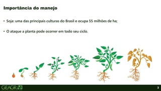 3
Importância do manejo
• Soja: uma das principais culturas do Brasil e ocupa 55 milhões de ha;
• O ataque a planta pode ocorrer em todo seu ciclo.
 