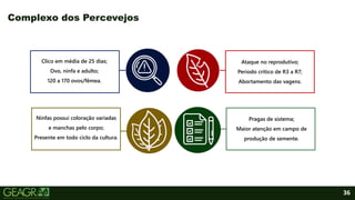 36
Complexo dos Percevejos
Clico em média de 25 dias;
Ovo, ninfa e adulto;
120 a 170 ovos/fêmea.
Ninfas possui coloração variadas
e manchas pelo corpo;
Presente em todo ciclo da cultura.
Pragas de sistema;
Maior atenção em campo de
produção de semente.
Ataque no reprodutivo;
Período crítico de R3 a R7;
Abortamento das vagens.
 