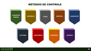 46
MÉTODOS DE CONTROLE
 