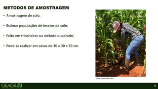 5
• Amostragem de solo:
• Estimar populações de insetos de solo;
• Feito em trincheiras ou método quadrado;
• Pode-se realizar em covas de 30 x 30 x 50 cm.
METODOS DE AMOSTRAGEM
Fonte: Luana Alves, 2022.
 