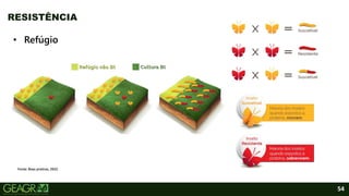 54
RESISTÊNCIA
Fonte: Boas praticas, 2022.
• Refúgio
 