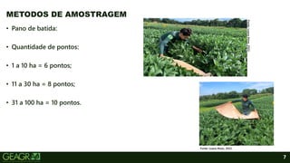 7
• Pano de batida:
• Quantidade de pontos:
• 1 a 10 ha = 6 pontos;
• 11 a 30 ha = 8 pontos;
• 31 a 100 ha = 10 pontos.
METODOS DE AMOSTRAGEM
Fonte:
Luana
Alves,
2022
.
Fonte: Luana Alves, 2022.
 