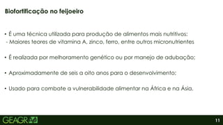11
• É uma técnica utilizada para produção de alimentos mais nutritivos:
- Maiores teores de vitamina A, zinco, ferro, entre outros micronutrientes
• É realizada por melhoramento genético ou por manejo de adubação;
• Aproximadamente de seis a oito anos para o desenvolvimento;
• Usado para combate a vulnerabilidade alimentar na África e na Ásia.
Biofortificação no feijoeiro
 