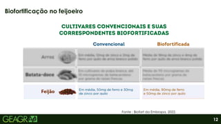 12
Biofortificação no feijoeiro
Fonte : Biofort da Embrapa, 2022.
 