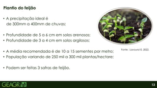 13
• A precipitação ideal é
de 300mm a 400mm de chuvas;
• Profundidade de 5 a 6 cm em solos arenosos;
• Profundidade de 3 a 4 cm em solos argilosos;
• A média recomendada é de 10 a 15 sementes por metro;
• População variando de 250 mil a 300 mil plantas/hectare;
• Podem ser feitas 3 safras de feijão.
Plantio do feijão
Fonte : Lavoura10, 2022.
 