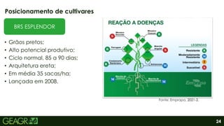 24
• Grãos pretos;
• Alto potencial produtivo;
• Ciclo normal, 85 a 90 dias;
• Arquitetura ereta;
• Em média 35 sacas/ha;
• Lançada em 2008.
Posicionamento de cultivares
BRS ESPLENDOR
Fonte: Emprapa, 2021-2.
 