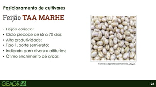 28
• Feijão carioca;
• Ciclo precoce de 65 a 70 dias;
• Alta produtividade;
• Tipo 1, porte semiereto;
• Indicado para diversas altitudes;
• Ótimo enchimento de grãos.
Posicionamento de cultivares
Fonte: Seprotecsementes, 2022.
 