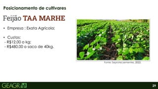 29
Posicionamento de cultivares
Fonte: Seprotecsementes, 2022.
• Empresa : Exata Agrícola;
• Custos:
- R$12,00 o kg;
- R$480,00 o saco de 40kg.
 