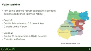 3
• Tem como objetivo reduzir os prejuízos causados
pela mosca-branca ( Bemisia tabaci );
• Grupo 1:
- Do dia 5 de setembro à 5 de outubro;
- Cidade de Rio Verde;
• Grupo 2:
- Do dia 20 de setembro à 20 de outubro;
- Cidade de Goiânia.
Vazio sanitário
Fonte : Researchgate, 2018.
 