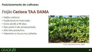 30
• Feijão carioca;
• Tradicional no mercado;
• Ciclo de 85 a 90 dias;
• Tipo porte 3 de semiprostado;
• Alto teto produtivo;
• Tolerante a chuva na colheita.
Posicionamento de cultivares
Fonte: Seprotecsementes, 2022.
 
