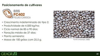 31
• Crescimento indeterminado do tipo 2;
• Produtividade de 4.500 kg/ha;
• Ciclo normal de 85 a 90 dias;
• Floração média de 37 dias;
• Planta semiereta;
• Massa de 100 grãos com 25,5 g.
Posicionamento de cultivares
Fonte: Emprapa, 2022.
 