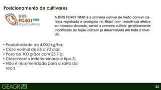 33
Posicionamento de cultivares
• Produtividade de 4.000 kg/ha;
• Ciclo normal de 85 a 90 dias;
• Peso de 100 grãos com 25,7 g;
• Crescimento indeterminado e tipo 3;
• Não é recomendada para a safra da
seca.
 