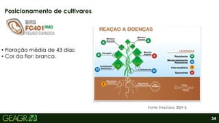 34
Posicionamento de cultivares
Fonte: Emprapa, 2021-2.
• Floração média de 43 dias;
• Cor da flor: branca.
 