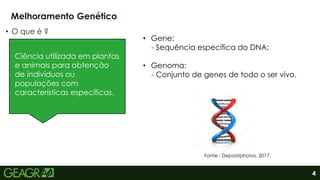 4
• O que é ?
Melhoramento Genético
Ciência utilizada em plantas
e animais para obtenção
de indivíduos ou
populações com
características específicas.
• Gene:
- Sequência específica do DNA;
• Genoma:
- Conjunto de genes de todo o ser vivo.
Fonte : Depositphotos, 2017.
 