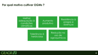 6
Por qual motivo cultivar OGMs ?
Melhor
adequação à
condições
climáticas
Aumento
produtivo
Resistência à
pragas e
doenças
Tolerância à
herbicidas
Redução no
uso de
agroquímicos
 