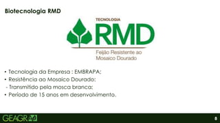 8
• Tecnologia da Empresa : EMBRAPA;
• Resistência ao Mosaico Dourado:
- Transmitido pela mosca branca;
• Período de 15 anos em desenvolvimento.
Biotecnologia RMD
 