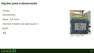 11
Opções para a dessecação
Fonte: Corpal, 2020.
- Finale;
- Glufosinato;
- Dose: 2,0 L/ha;
- Número máximo de aplicação: 1;
- BASF;
- R$ -
 