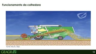 13
Funcionamento da colhedora
Fonte: Kibutiz, 2022.
 