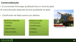 32
• O consumidor final exige qualidade física e visual do grão:
 A precificação depende da boa qualidade do grão;
• Classificador de feijão quanto aos defeitos:
Comercialização
DEFEITOS GRAVES
- Mofado;
- Ardido;
- Germinado;
- Carunchado.
DEFEITOS LEVES
- Amassados;
- Danificados;
- Partido;
- Imaturo.
Fonte: HF Rural, 2022.
 