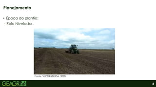 4
• Época do plantio:
- Rolo Nivelador.
Planejamento
Fonte: VLCDR&DUDA, 2020.
 